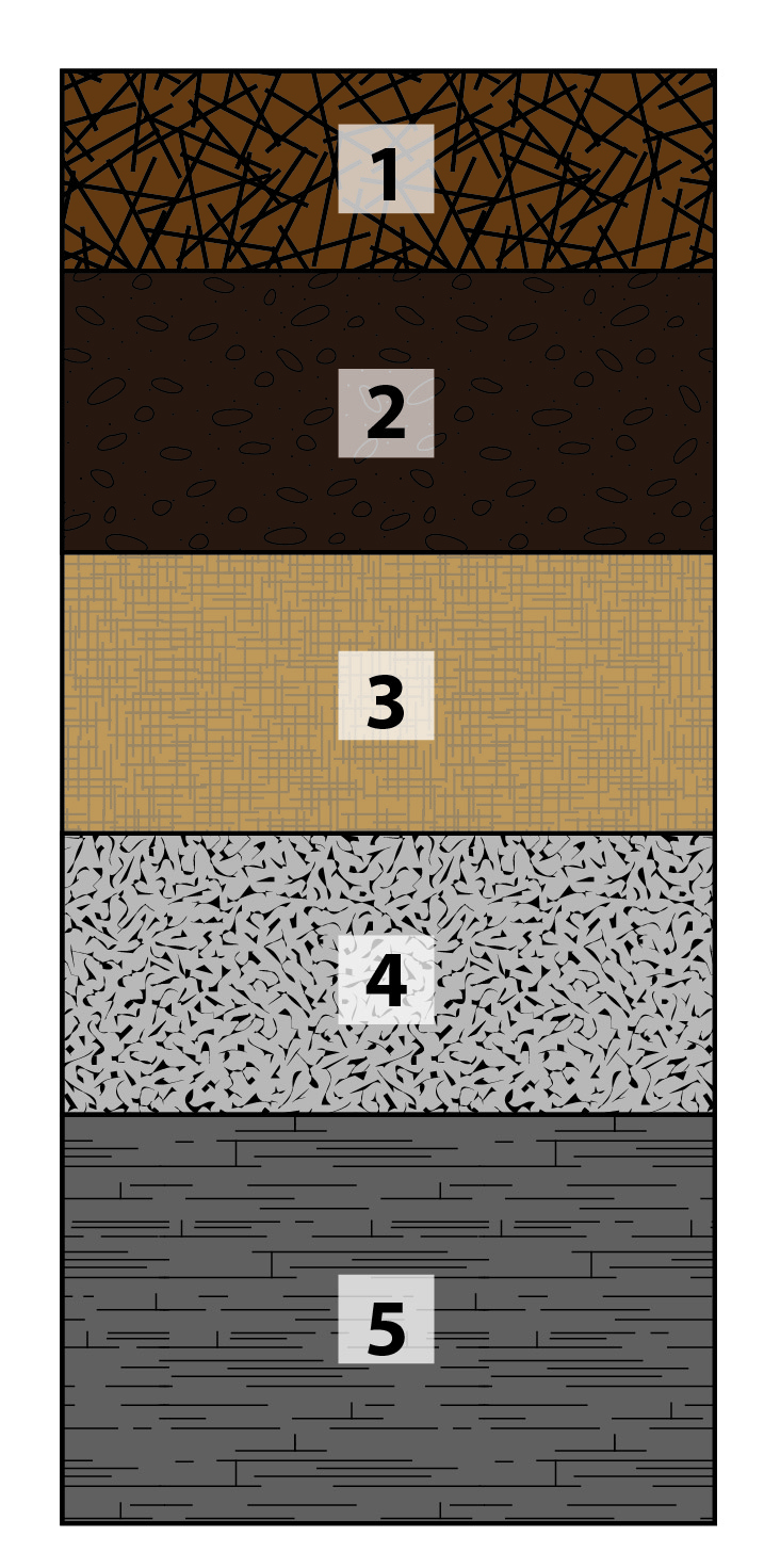 Types of Soil AP Environmental Science
